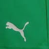 Puma Teamrise Shorts Herren - Grün Produktbild-Vorschau 10