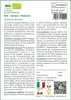 SAFLAX  - BIO - Spinaci - Matador - 300 semi - Con Anteprima dell’immagine prodotto 3