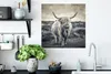 MuchoWow® Poster Schottischer Hochländer - Tiere - Wolken - Produktbild-Vorschau 3