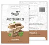 Hawlik Pilzbrut Austernpilz Pilzbeet-Set – Pilzzucht Produktbild-Vorschau 4