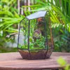 Terrarium géométrique en verre avec aération - Jardinière Voir les images du produit 4