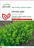 SAFLAX - dámský plášť - Alchemilla vulgaris - 100 Semena Náhled obrázku produktu 1