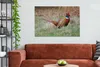 OneMillionCanvasses® - Obrazy na plátně - 140x90 cm, Bažant Náhled obrázku produktu 3