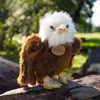 RAPPA Plüschvogel Adler 24 cm ECO-FRIENDLY Produktbild-Vorschau 9