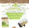 Keimsprossen Daikon-Rettich |Keimsprossen von FLORTUS Produktbild-Vorschau 3