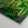 Bilder auf glas - Bambus Pflanze - 120x50cm - Glasbilder - Produktbild-Vorschau 5