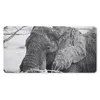 MuchoWow® Mauspad Mousepad Elefant - Tiere - Äste - Natur - Produktbild-Vorschau 1