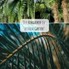 Hanfpalme Samen (Chamaerops excelsa) - Exotische Palme Produktbild-Vorschau 4