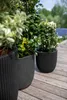 Three black planters with plants on a wooden deck. Náhľad obrázku produktu