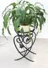 A potted plant sits on a decorative metal stand. Náhled obrázku produktu