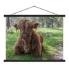 MuchoWow® Textilposter Schottischer Highlander - Kröte - Produktbild-Vorschau 1