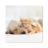 MuchoWow® Mauspad Mousepad Tiere - Hund - Kätzchen - Rot Produktbild-Vorschau 1