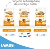 IAMS Senior Katzenfutter trocken mit Fisch - Trockenfutter Produktbild-Vorschau 4