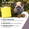 REAVET Analdrüsen Unterstützung Hund 350g (140 Drops) – Bei Produktbild-Vorschau 6