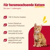 animonda Carny Kitten Nassfutter, 12 x 200 g, Getreidefrei, Produktbild-Vorschau 3