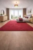 50x80 cm Kawałek dywanu Eton bordowo-czerwony Podgląd zdjęcia produktu 2