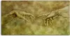 Coloray Canvas 140x70  Wandbild Leinwand Bilder Deko Produktbild-Vorschau 1