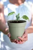 Anzuchttopf Elho Green Basics Kunststoff Ø 15 cm H 13,9 cm Produktbild-Vorschau 4