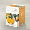 Wilmax pichet en verre cristal 1000 ml, avec boîte cadeau, Voir les images du produit 5