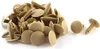 50pcs Automobile Voiture Beige Rivets Plastiques Porte Voir les images du produit 2