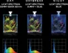 Three aquarium setups are shown under different lighting conditions: Day, Daybreak, and Night. Each setup includes a small aquarium with plants and rocks, illuminated by a light fixture. Below each aquarium, a light spectrum graph is displayed. Anteprima dell’immagine prodotto