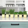 Künstliches Kräuter Sortiment - 6er Set - Kunstpflanze mit Produktbild-Vorschau 2