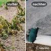 Erntevlies 30 g/m² – effektiver Frostschutz und Produktbild-Vorschau 3