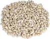 Cypraea annulus, 0,5kg, ca. 2cm, ca. 600-700 Stück | Produktbild-Vorschau 2