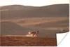 MuchoWow® Poster Fuchs - Tiere - Wüste 30x20 cm - Plakate - Produktbild-Vorschau 1