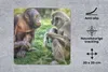 MuchoWow® Mauspad Mousepad Affen - Tiere - Familie 20x20 cm Produktbild-Vorschau 2