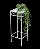 A white metal plant stand with a potted plant on top, against a black background. Anteprima dell’immagine prodotto