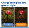 Maximex Solar LED Gartenstecker Marienkäfer, 4er Set, rote Produktbild-Vorschau 6