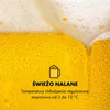 Klarstein Beerkules Nalewak do piwa z chłodziarką - do Podgląd zdjęcia produktu 4