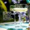 Stölzle Lausitz Power Champagnerschale 6er-Set I Produktbild-Vorschau 6