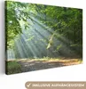 MuchoWow® - Plátno - Jar - Les - Strom, nástenná maľba, Náhľad obrázku produktu 1