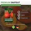 Hokkaido Kürbis Uchiki Kuri Samen - Cucurbita maxima - Produktbild-Vorschau 8
