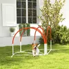 PawHut Hunde Agility Set, 4er-Set Hundetraining mit Produktbild-Vorschau 2