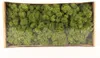 INNA-Glas Dekoratives Moos SVEINBJÖRN, wiesengrün, 500g - Produktbild-Vorschau 1