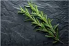 Küchenrückwand Spritzschutz Glas mit Motiv Rosmarinzweig Produktbild-Vorschau 3