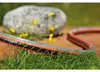 Gardena Tubo flessibile Comfort FLEX 13 mm (1/2) 15 m Anteprima dell’immagine prodotto 15