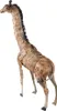 Clayre & Eef Figur Giraffe 37x14x59 cm Braun Eisen Produktbild-Vorschau 3