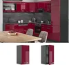 Pensile da cucina Vicco R-Line Rosso lucido 30 cm, Model Anteprima dell’immagine prodotto 2