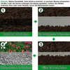 A collage of four images showing steps for installing a garden border, with text instructions. Produktbild-Vorschau