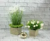 Two artificial plants in decorative pots and a golden apple are arranged on a surface in front of a brick wall. Anteprima dell’immagine prodotto