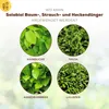 Gehölzdünger Solabiol Baum-,Strauch & Heckendünger Granulat Produktbild-Vorschau 5