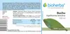 Bioherba Buchu Agathosma betulina Tropfen Tinktur 100 ml Produktbild-Vorschau 2
