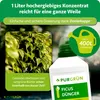 Purgrün Ficus-Dünger 1 Liter Produktbild-Vorschau 4