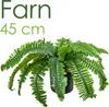Fougère Osmonde Plante Artificielle Artificiel Plastique Voir les images du produit 1