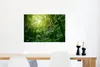 MuchoWow® Poster Dschungel - Pflanzen - Blätter - Jungen - Produktbild-Vorschau 5