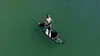 Skatinger SUP SKATINGER Sports Grigio 350x89x15 (11'6'') Anteprima dell’immagine prodotto 12